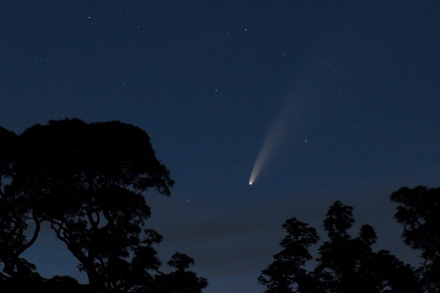 Comet Neowise Richard Darn