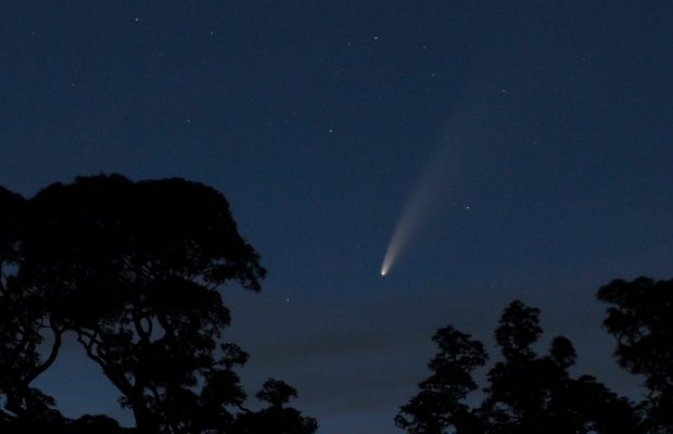 Comet Neowise Richard Darn